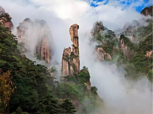 經驗參考丨淺析旅游景區(qū)運營管理 旅游景點建設運營